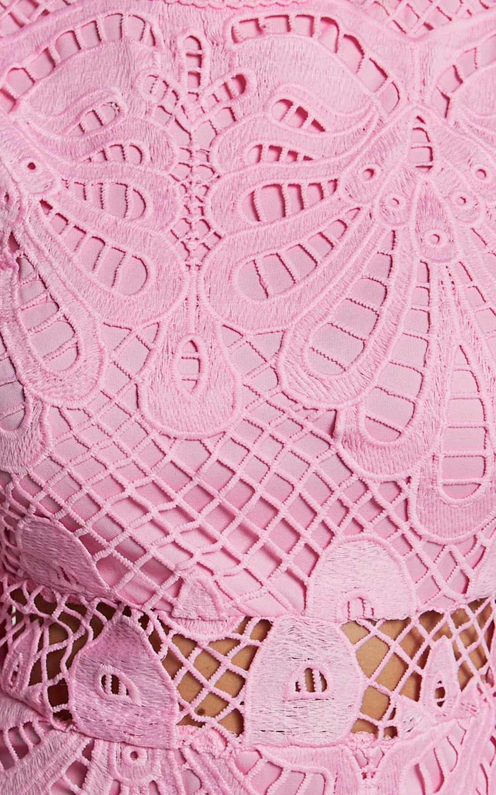 Long Puff Sleeve Lace Mini Dress