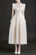 floral appliqué bodice sleeveless midi dress in beige