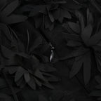 Flowering Girl Women flower embellished Mini Dress in black