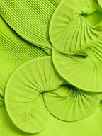 Flowering Girl Women Dora Green Off-Shoulder Pleated Organza Maxi Dress