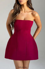 Asha Mini Dress - Wine