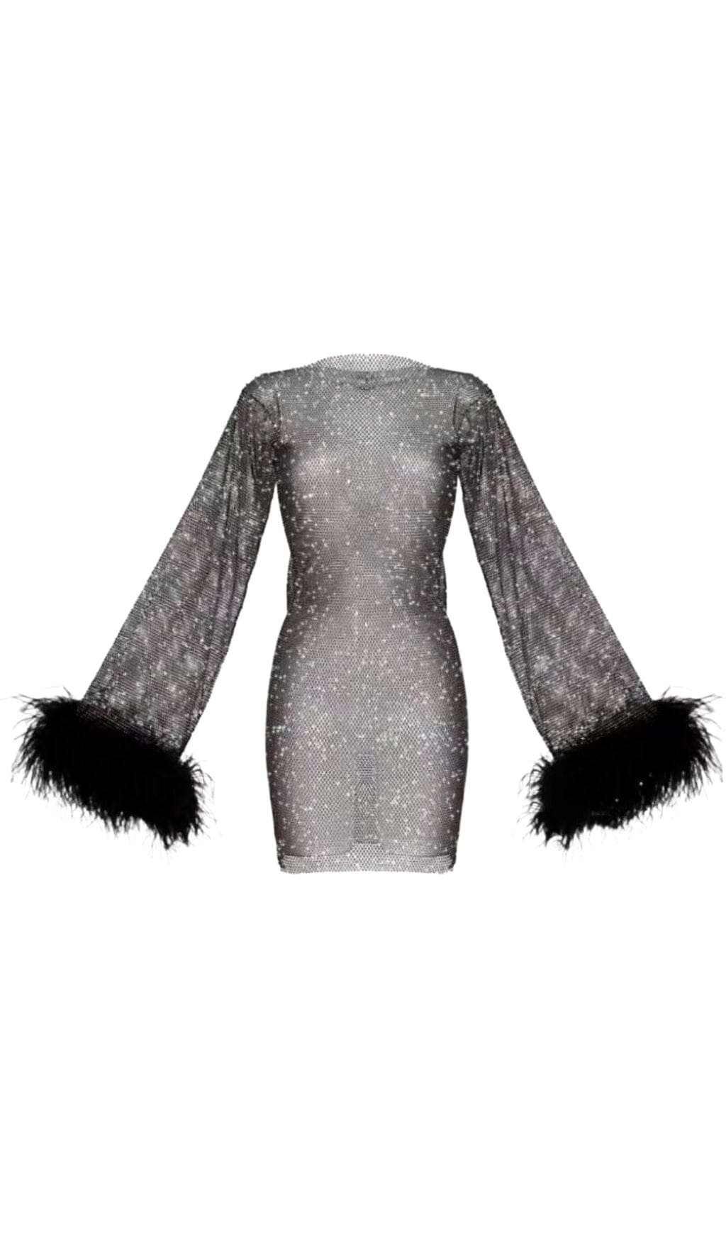 Flowering Girl Women Feather Embellished Mesh Mini Dress