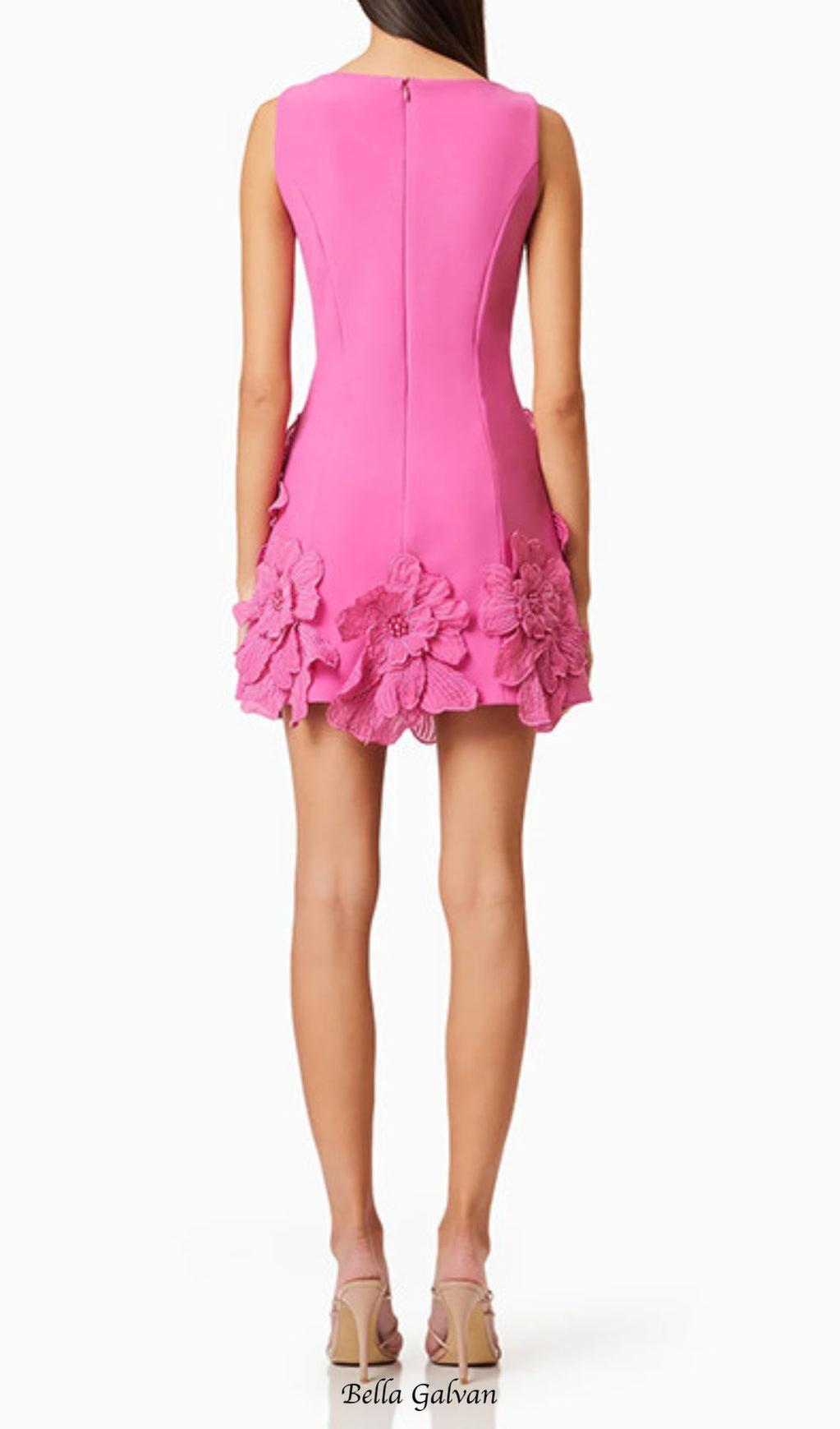 Flowering Girl Women Daiva Flower embellished Mini Dress in pink