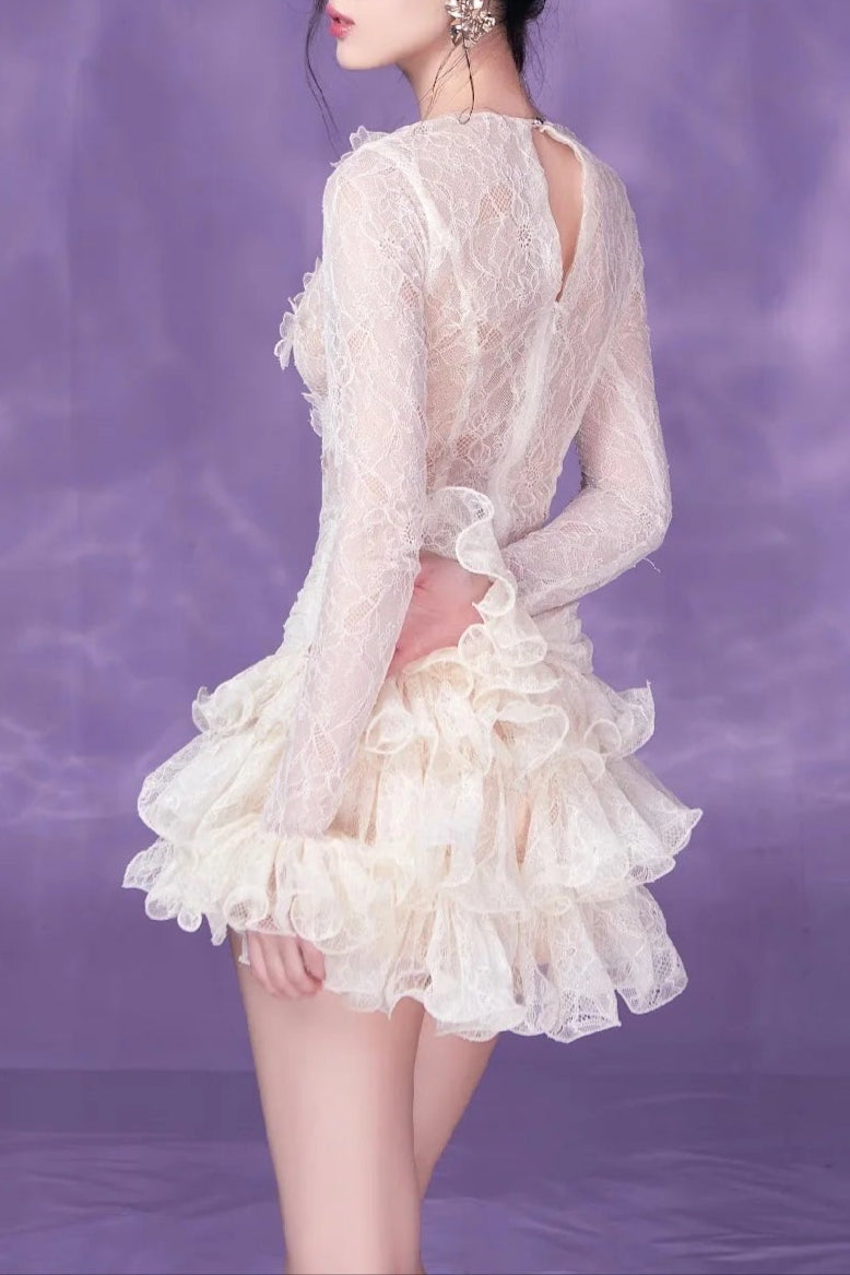Eudora Lace Embroidery Ruched Trim Mini Dress In White