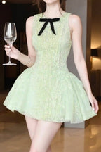 Eleanore Sleeveless Embroidered Mini Dress In Green