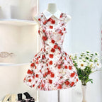 Collared Sleeveless Floral A-Line Mini Dress