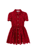 Burgundy Lace Collared Mini Dress