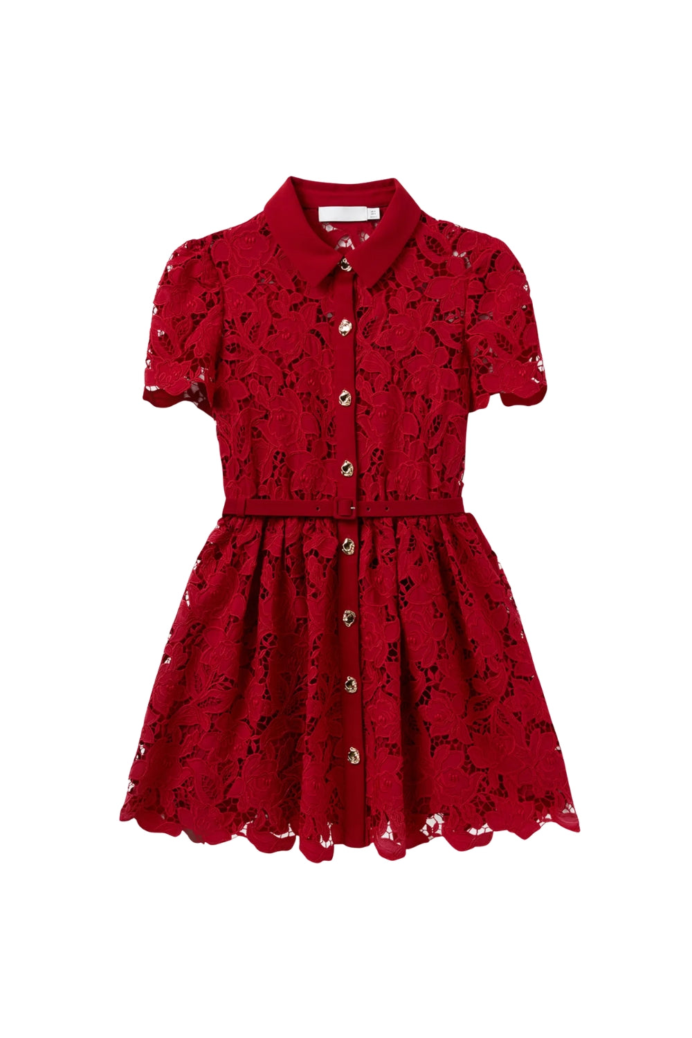 Flowering Girl Women Burgundy Lace Collared Mini Dress