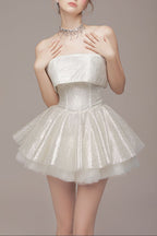 alberta Mesh Tulle strapless Tutu mini dress in apricot